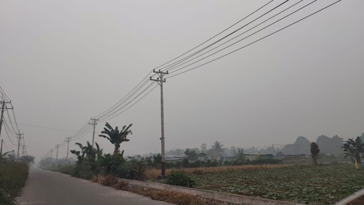 Kabut asap di Timika