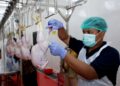 Menjaga halal dari kandang ke meja 4 Halal