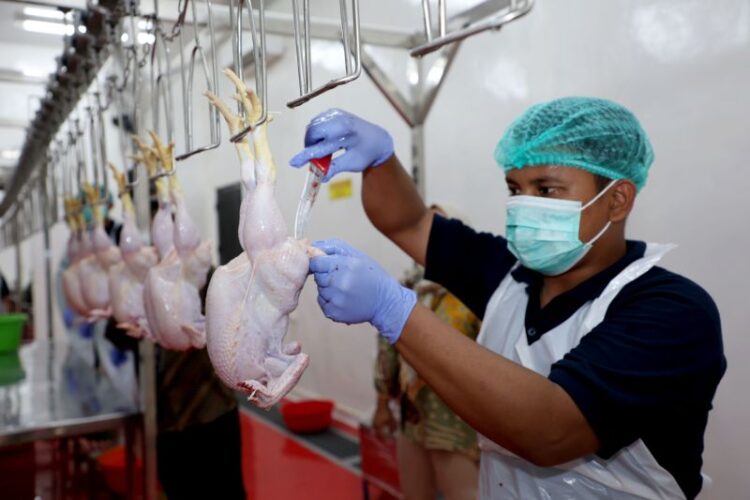 Menjaga halal dari kandang ke meja 1 Halal