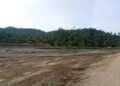 Tambang emas