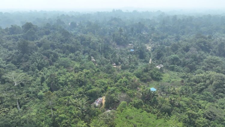Dusun Sagu, Hutan Ulayat