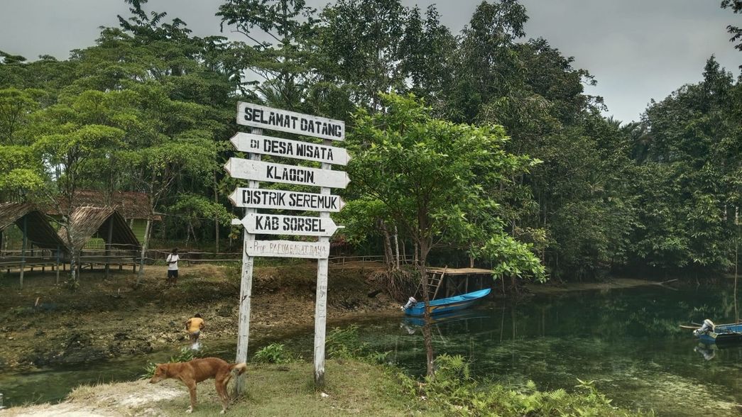 Ekowisata, Hutan Ulayat