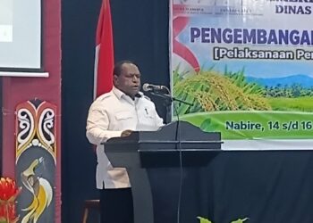 Kompetensi petani Papua Tengah