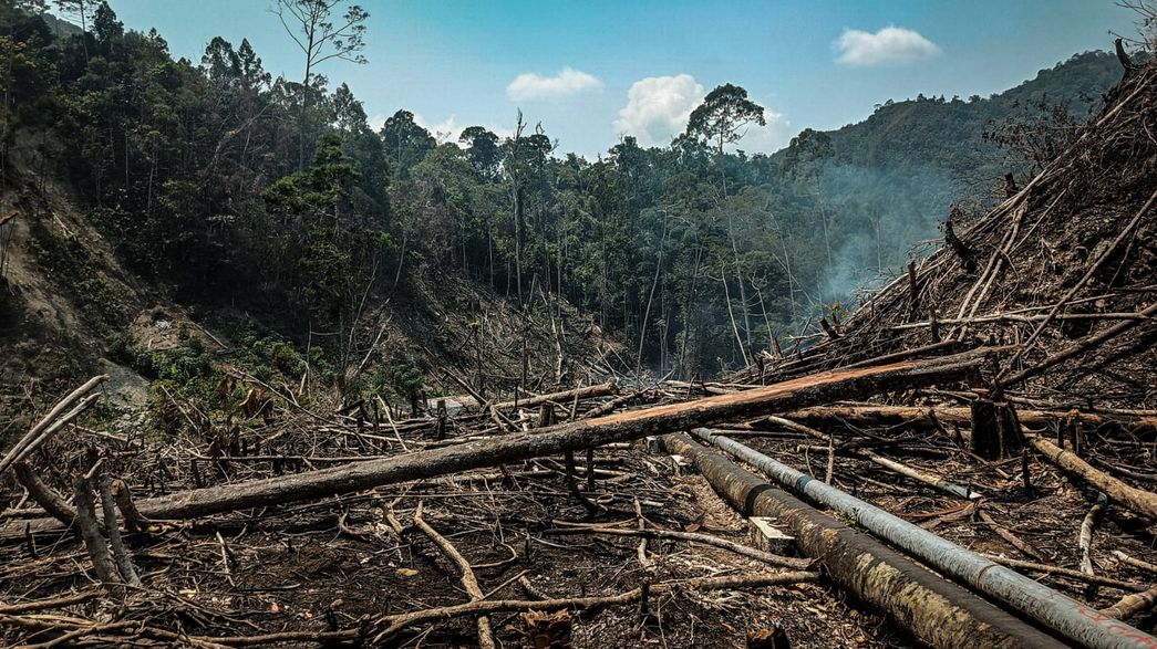 Hujan mulai datang, banjir pun menjelang 6 Deforestasi
