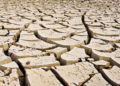 El Nino ancam Pasifik dan Asia