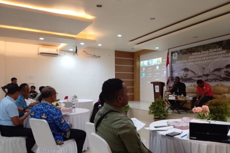 BBKSDA Papua siapkan pemulihan populasi kura-kura moncong babi 1 BBKSDA