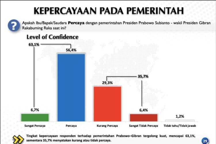 Survei