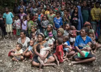 Komisioner PBB ke Papua Barat